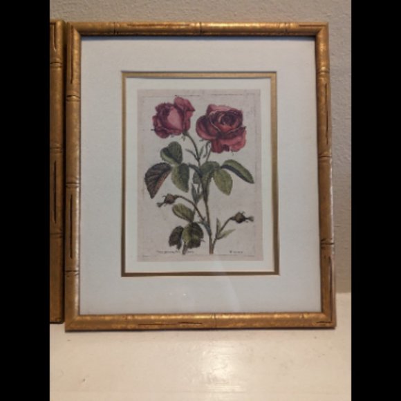 6"x9" Original Nicolas Robert Print French Artist 1600s Antique Fine Art - Picture 2 of 5